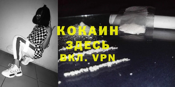 шишки Верхний Тагил
