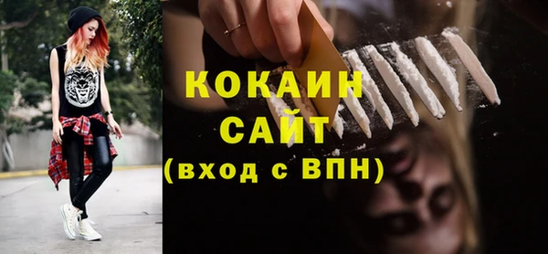 шишки Верхний Тагил