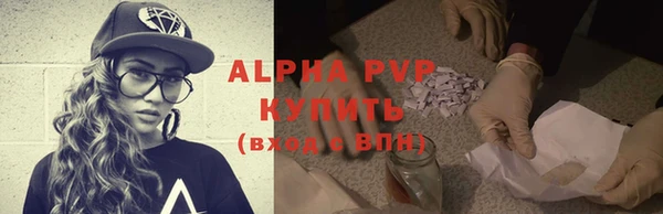 шишки Верхний Тагил