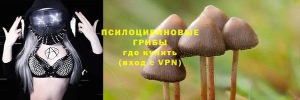 мдпв Вязьма