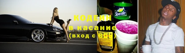 шишки Верхний Тагил