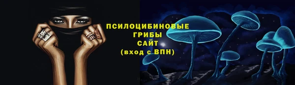 эйфоретик Горняк