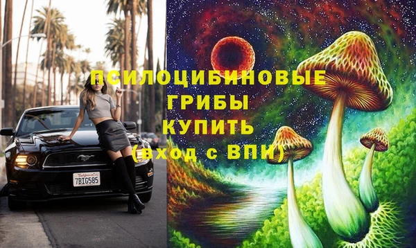 стаф Бугульма