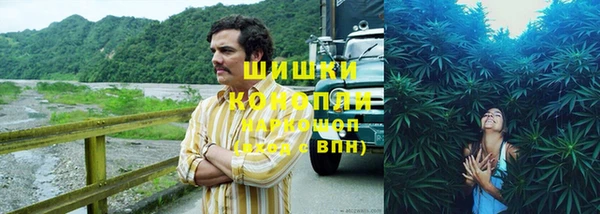 мдпв Верея