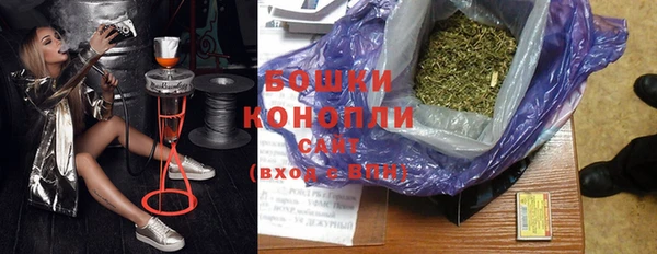 шишки Верхний Тагил