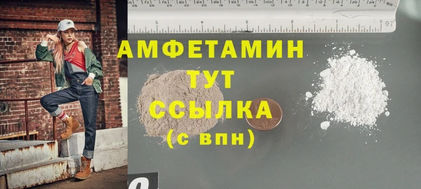 спиды Вяземский