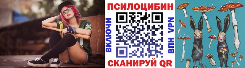 Псилоцибиновые грибы Psilocybe Железноводск